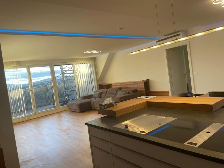 Rooftop Terrace- Panoramablick Ueber Wien Apartment Bagian luar foto